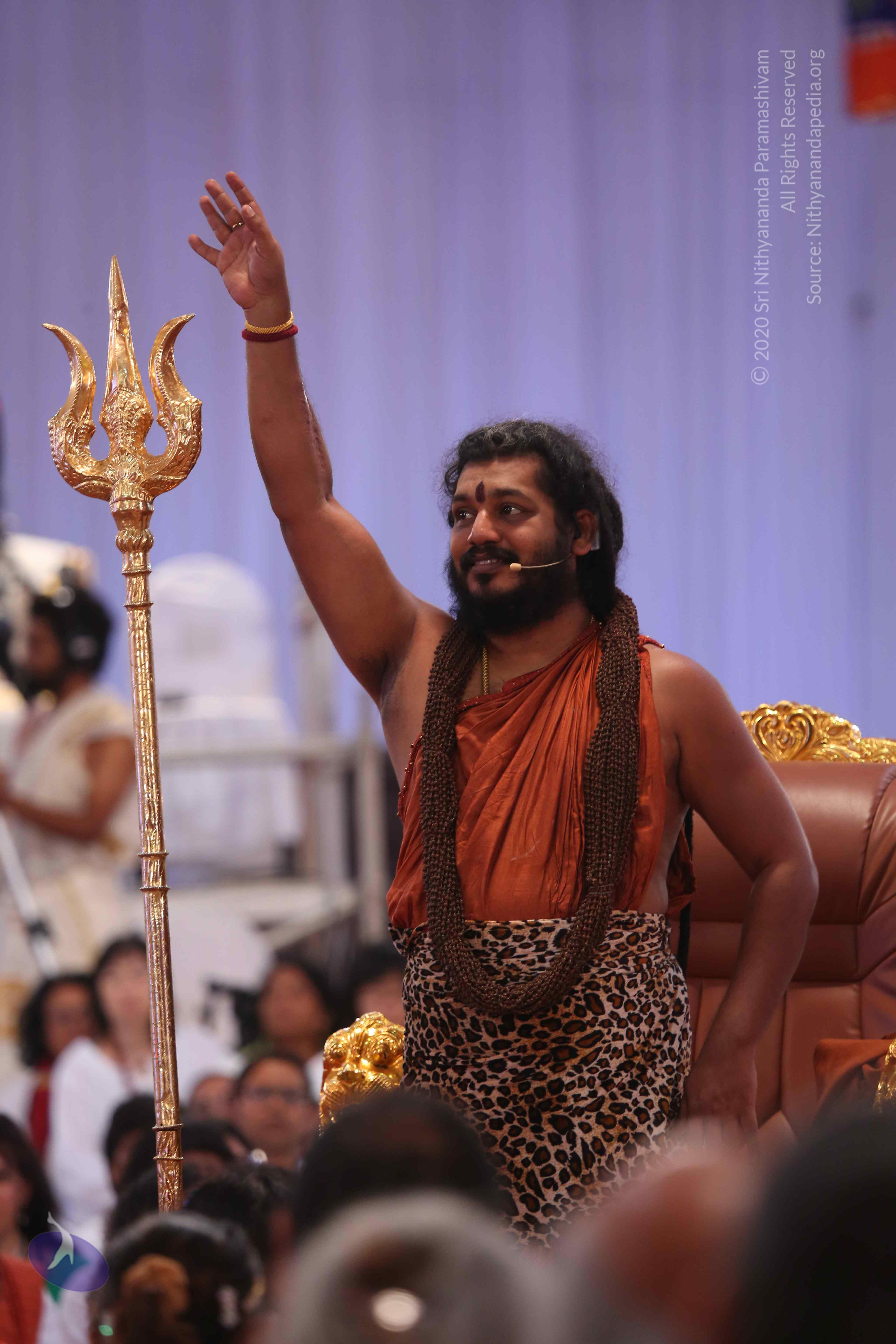 20161204_Photo_1013_IMGL5589_CMP_WM